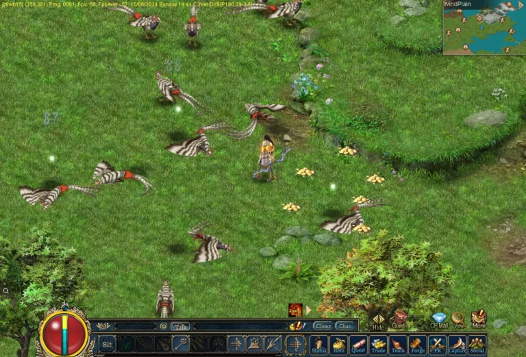 Conquer Online : A Timeless PvP-Centric MMORPG in Ancient China